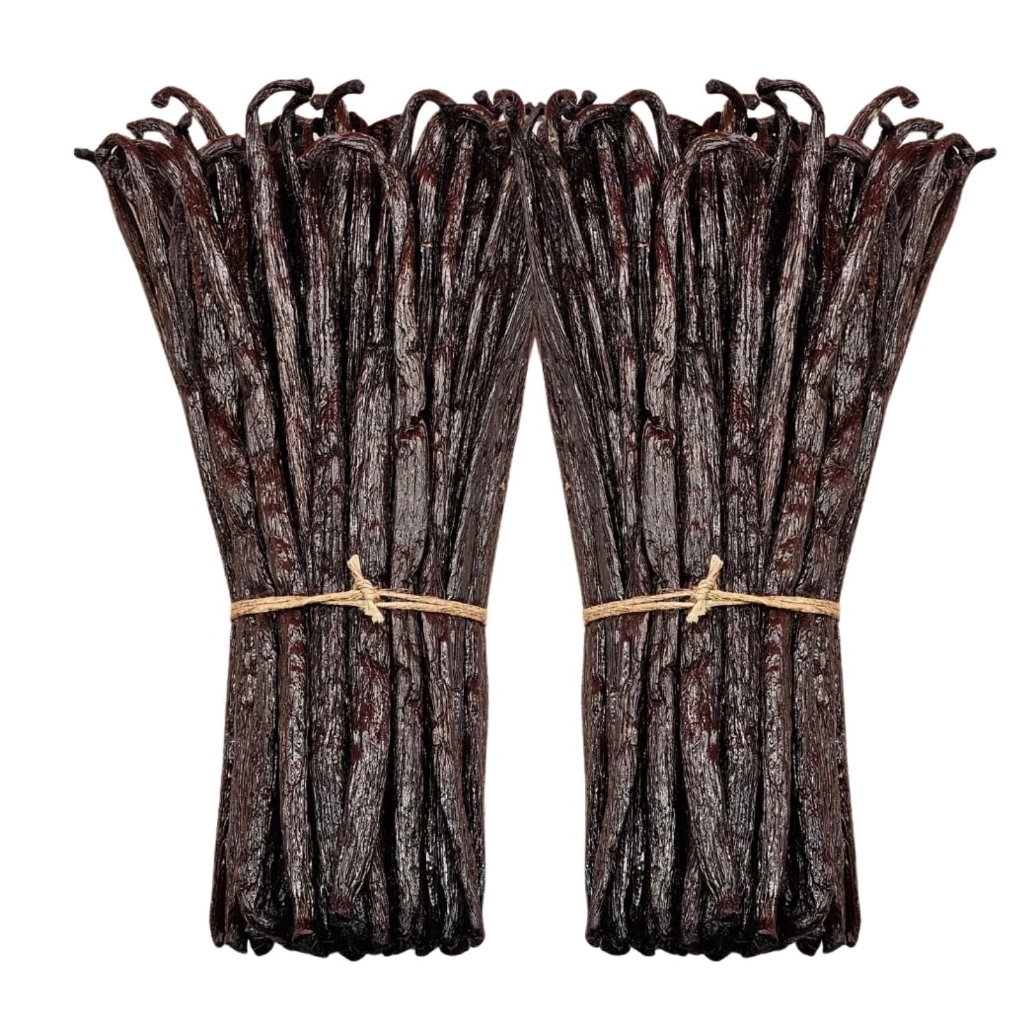 Vanille Bourbon de Madagascar